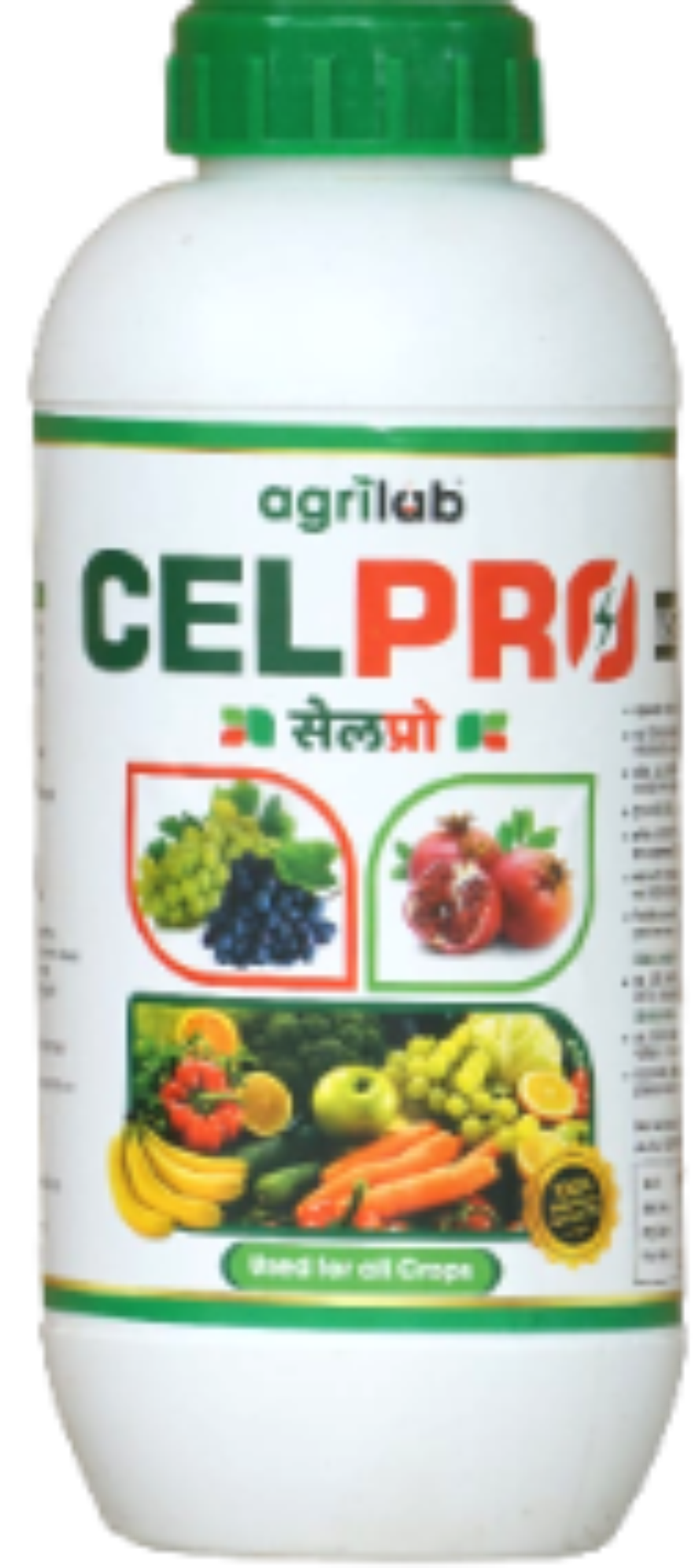 Celpro