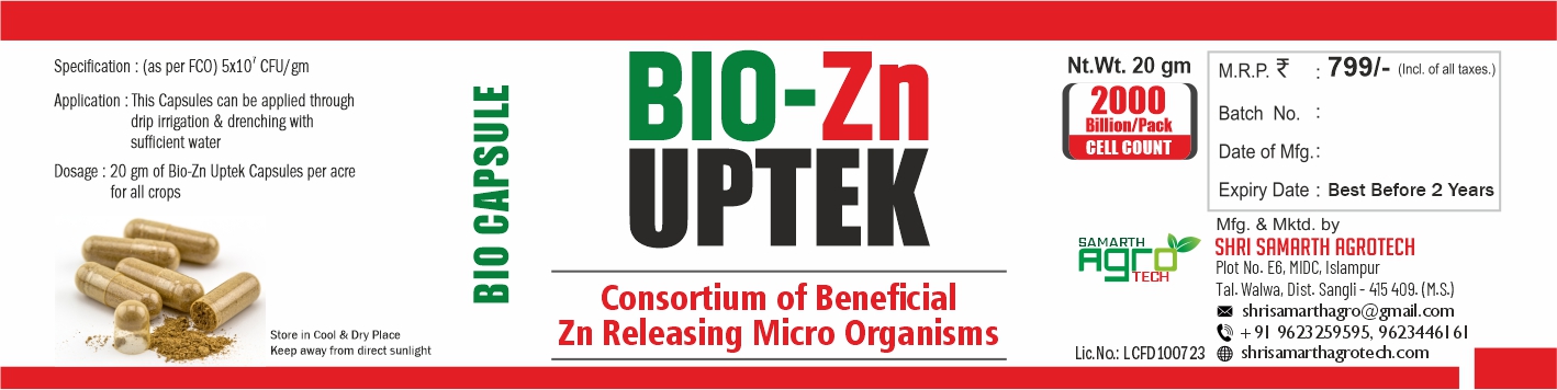 Zinc Uptek